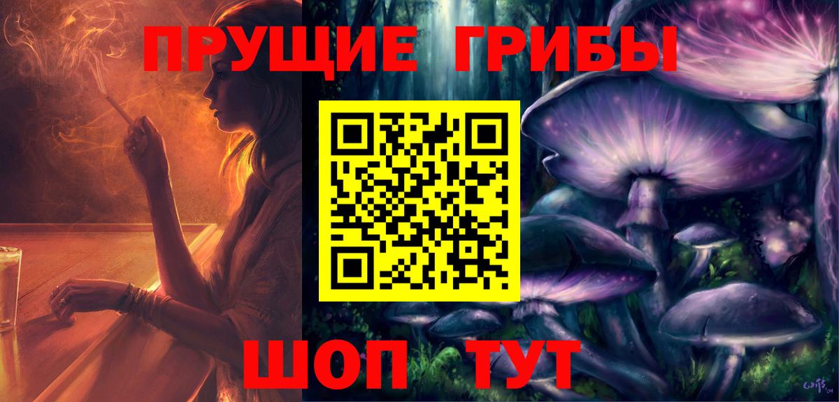 наркотики  Вход с VPN  Псилоцибиновые грибы ЛСД  Холмск  Галлюциногенные грибы Psilocybine cubensis 